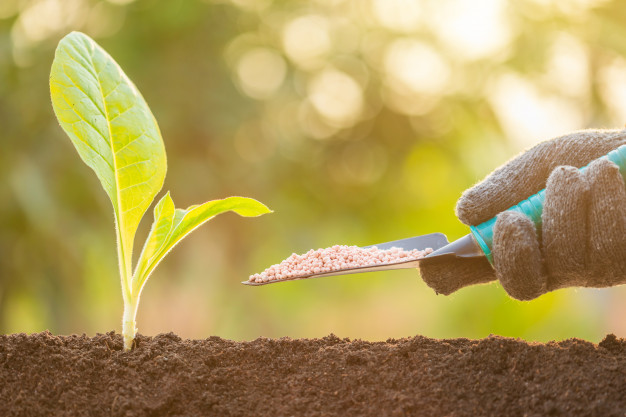 Micronized sulphur powder use in fertilizers Micronized sulphur powder use in fertilizers